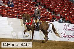 14buck_4460 proof
