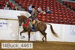 14buck_4461 proof