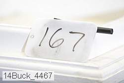 14buck_4467 proof