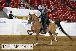14buck_4468 proof