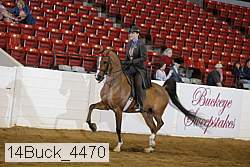 14buck_4470 proof