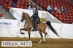 14buck_4472 proof