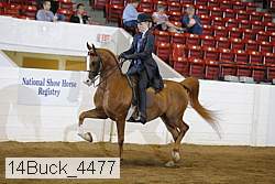 14buck_4477 proof