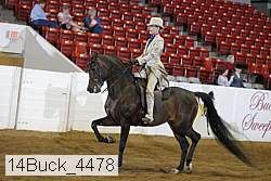 14buck_4478 proof