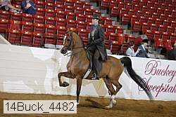 14buck_4482 proof