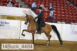14buck_4484 proof