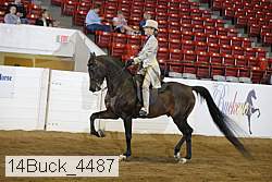 14buck_4487 proof