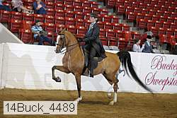 14buck_4489 proof