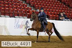14buck_4491 proof
