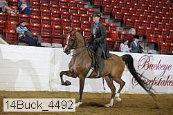 14buck_4492 proof
