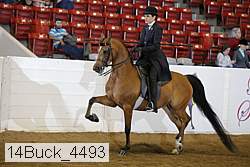 14buck_4493 proof