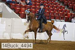 14buck_4494 proof