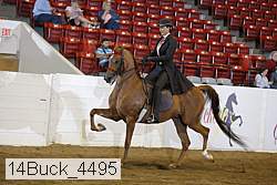 14buck_4495 proof