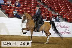 14buck_4496 proof