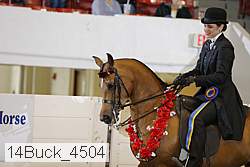 14buck_4504 proof