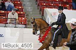 14buck_4505 proof