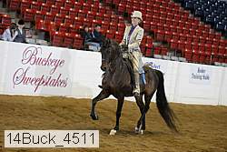 14buck_4511 proof