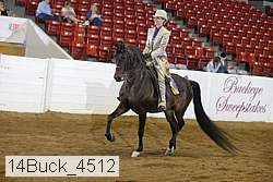 14buck_4512 proof