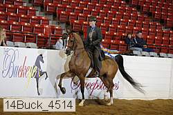 14buck_4514 proof