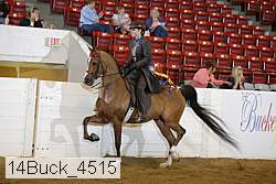 14buck_4515 proof