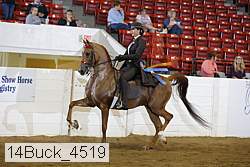 14buck_4519 proof