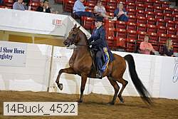 14buck_4522 proof