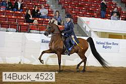 14buck_4523 proof