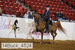 14buck_4524 proof