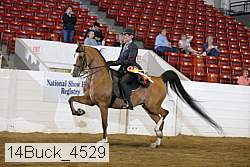 14buck_4529 proof
