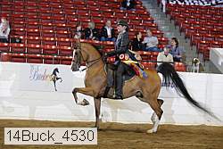 14buck_4530 proof