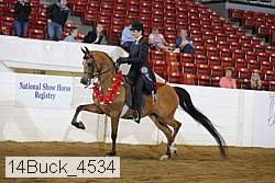 14buck_4534 proof