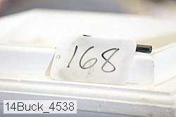 14buck_4538 proof