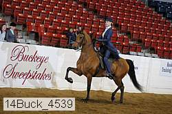 14buck_4539 proof