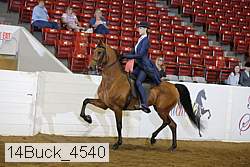 14buck_4540 proof