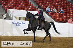 14buck_4542 proof