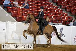 14buck_4547 proof