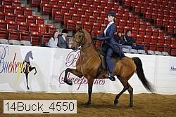 14buck_4550 proof