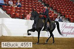 14buck_4551 proof
