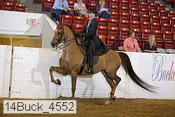 14buck_4552 proof
