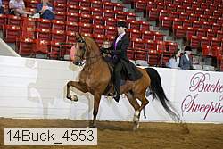 14buck_4553 proof