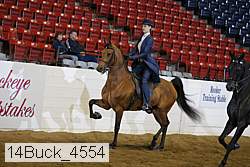 14buck_4554 proof