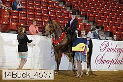 14buck_4557 proof