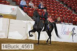 14buck_4561 proof