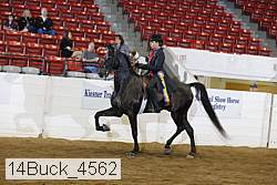 14buck_4562 proof