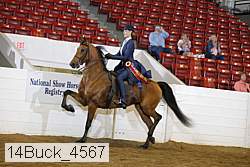 14buck_4567 proof