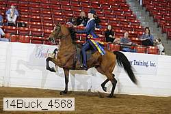 14buck_4568 proof