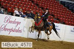 14buck_4570 proof