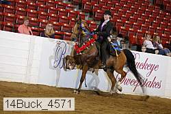 14buck_4571 proof