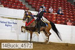14buck_4572 proof