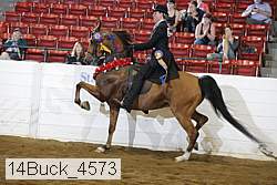 14buck_4573 proof
